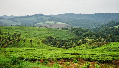 Image of Uganda