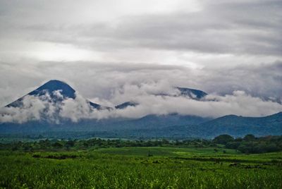 Image of El Salvador