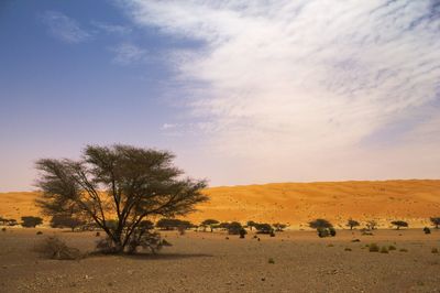 Image of Mauritania